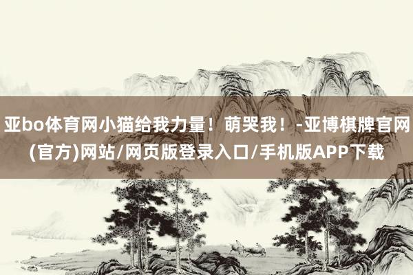亚bo体育网小猫给我力量！萌哭我！-亚博棋牌官网(官方)网站/网页版登录入口/手机版APP下载