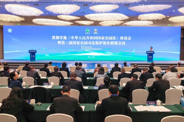 欧洲杯体育最妙手民法院党构成员、副院长杨临萍在会上强调-亚博棋牌官网(官方)网站/网页版登录入口/手机版APP下载